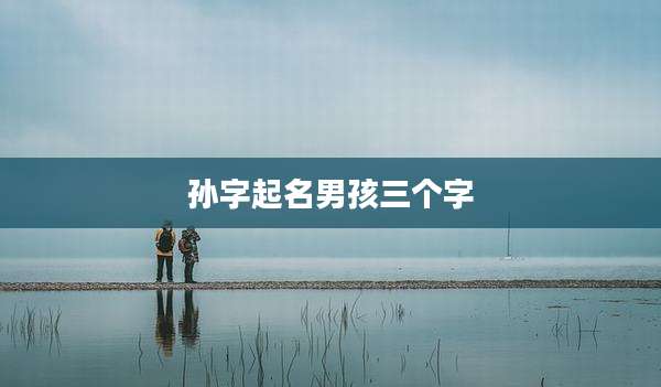 孙字起名男孩三个字