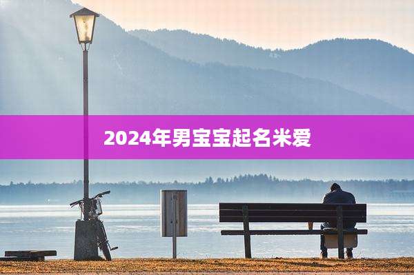 2024年男宝宝起名米爱