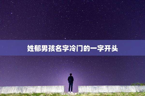 姓郁男孩名字冷门的一字开头