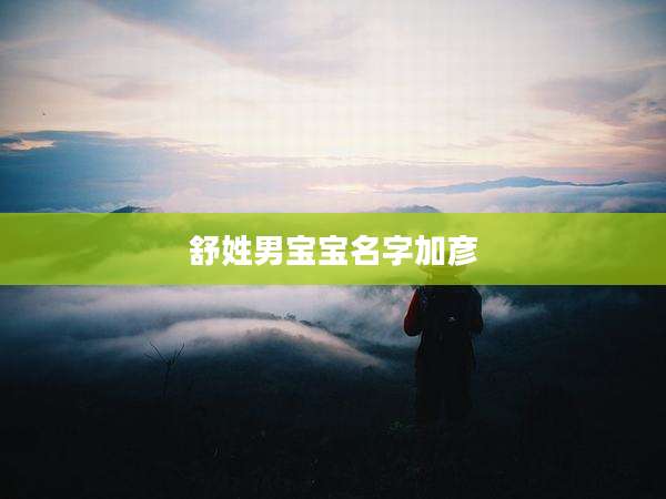 舒姓男宝宝名字加彦