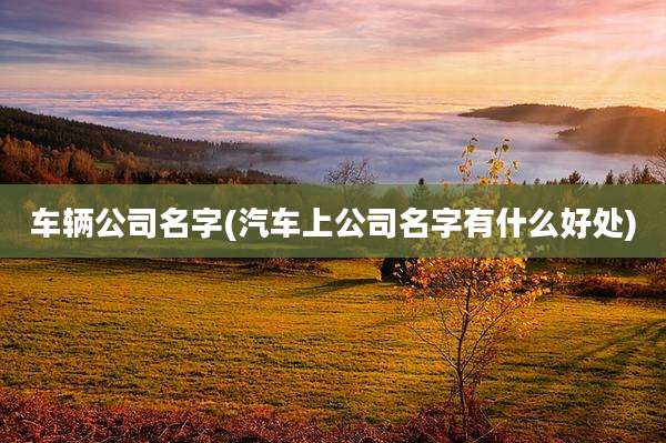 车辆公司名字(汽车上公司名字有什么好处)
