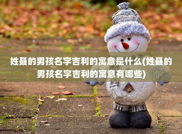 姓聂的男孩名字吉利的寓意是什么(姓聂的男孩名字吉利的寓意有哪些)
