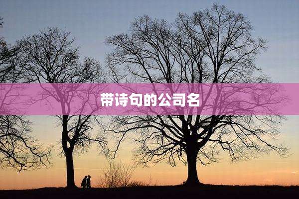 带诗句的公司名