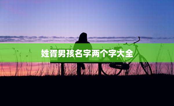 姓胥男孩名字两个字大全