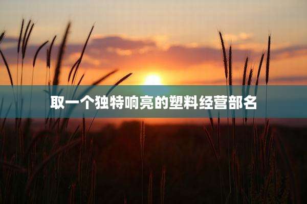 取一个独特响亮的塑料经营部名