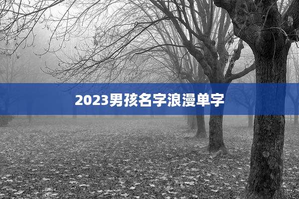 2023男孩名字浪漫单字