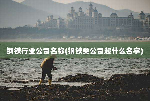 钢铁行业公司名称(钢铁类公司起什么名字)