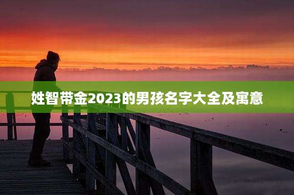 姓智带金2023的男孩名字大全及寓意