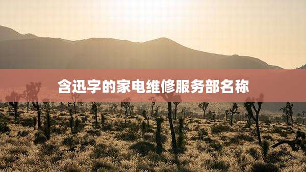 含迅字的家电维修服务部名称