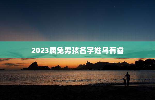 2023属兔男孩名字姓乌有睿