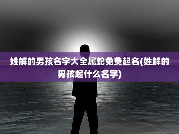 姓解的男孩名字大全属蛇免费起名(姓解的男孩起什么名字)