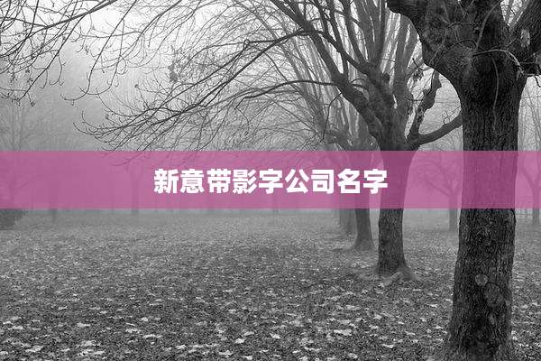 新意带影字公司名字