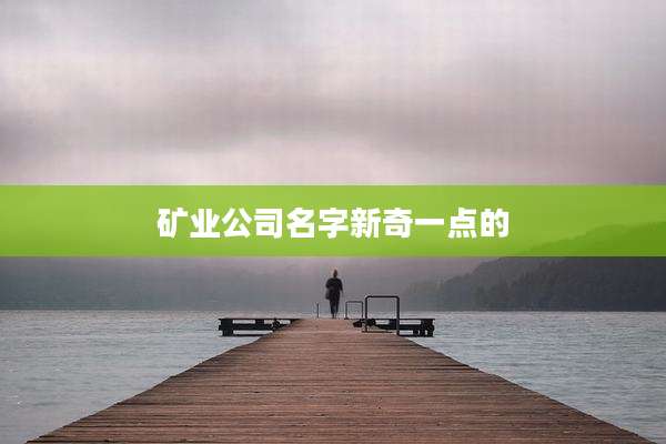 矿业公司名字新奇一点的