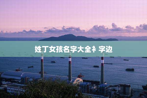 姓丁女孩名字大全衤字边
