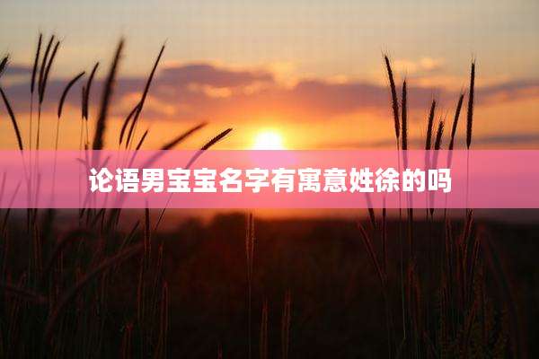 论语男宝宝名字有寓意姓徐的吗