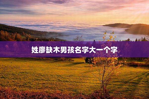 姓廖缺木男孩名字大一个字