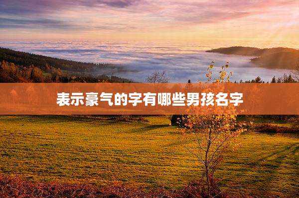 表示豪气的字有哪些男孩名字