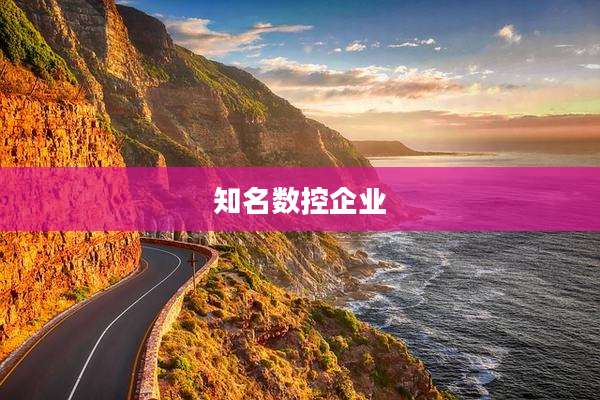 知名数控企业