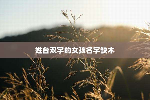 姓台双字的女孩名字缺木