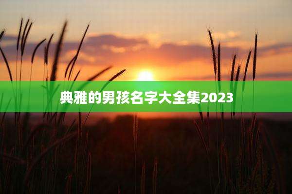 典雅的男孩名字大全集2023