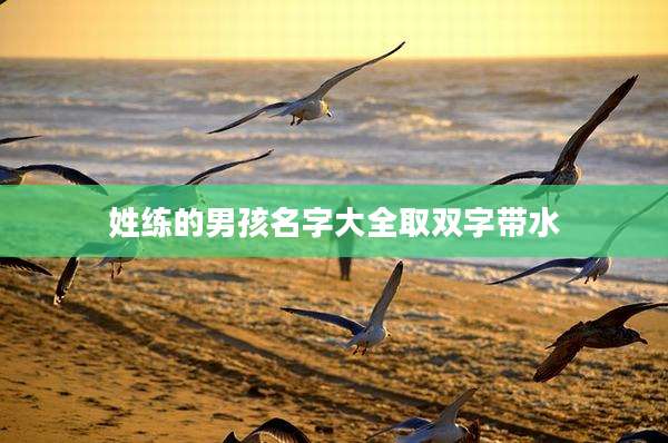 姓练的男孩名字大全取双字带水
