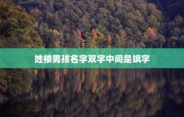 姓楼男孩名字双字中间是飒字