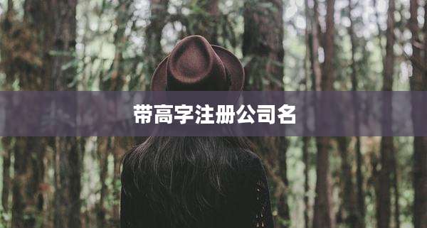 带高字注册公司名