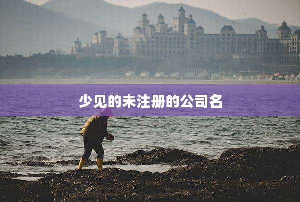 少见的未注册的公司名