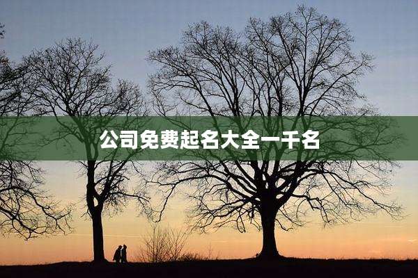 公司免费起名大全一千名