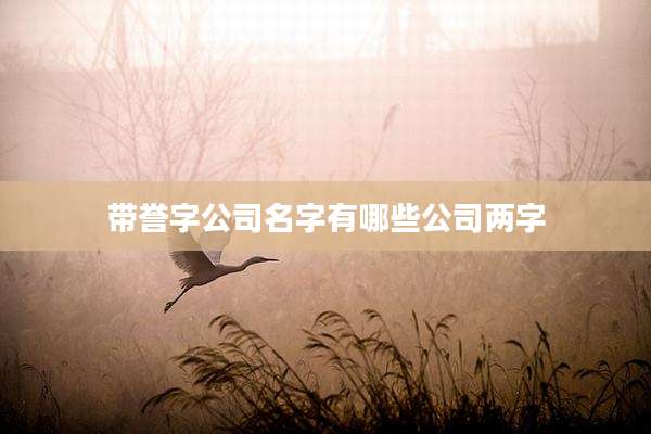 带誉字公司名字有哪些公司两字