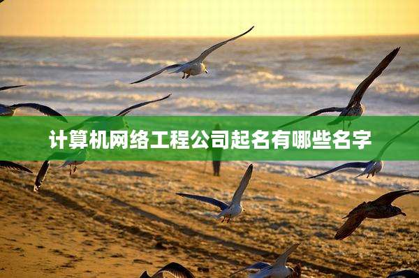 计算机网络工程公司起名有哪些名字