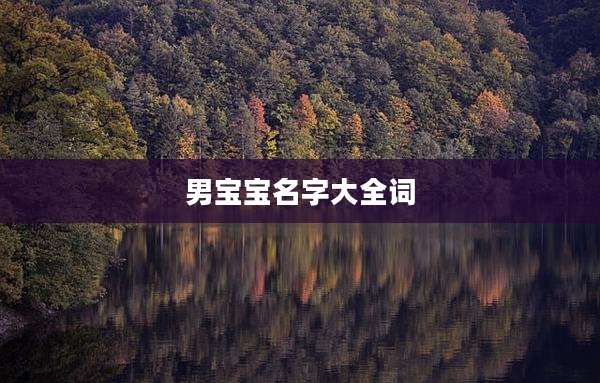 男宝宝名字大全词