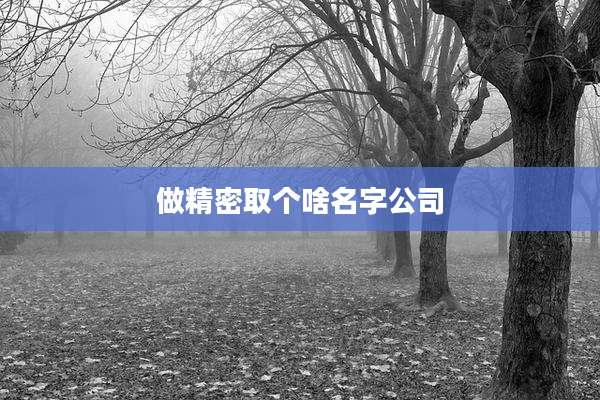 做精密取个啥名字公司