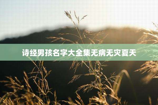 诗经男孩名字大全集无病无灾夏天