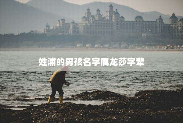 姓浦的男孩名字属龙莎字辈