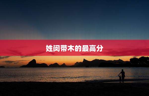 姓闵带木的最高分