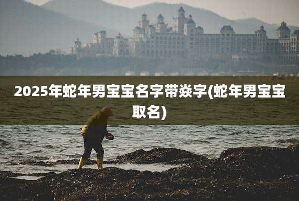 2025年蛇年男宝宝名字带焱字(蛇年男宝宝取名)