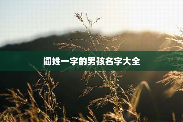 阎姓一字的男孩名字大全