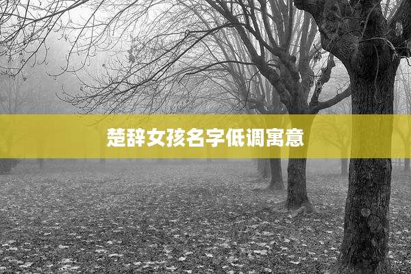 楚辞女孩名字低调寓意