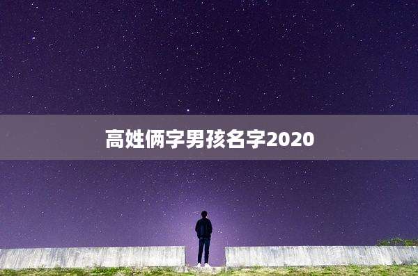 高姓俩字男孩名字2020