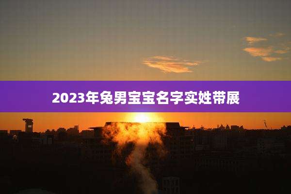 2023年兔男宝宝名字实姓带展