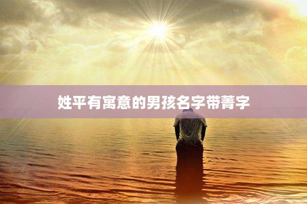 姓平有寓意的男孩名字带菁字