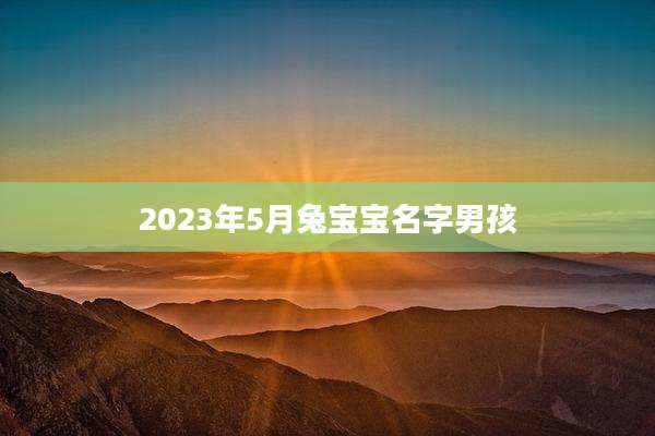 2023年5月兔宝宝名字男孩