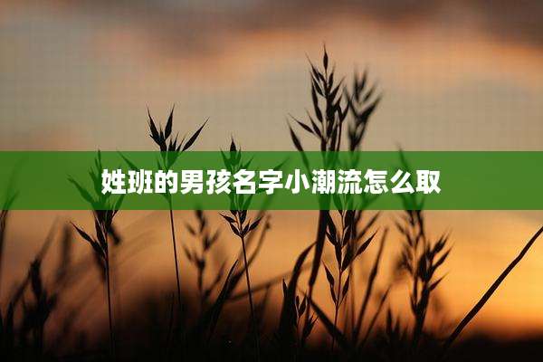 姓班的男孩名字小潮流怎么取