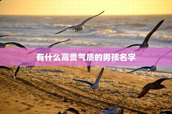有什么高贵气质的男孩名字