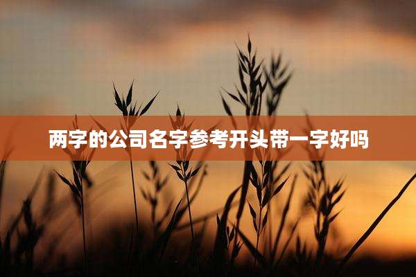 两字的公司名字参考开头带一字好吗
