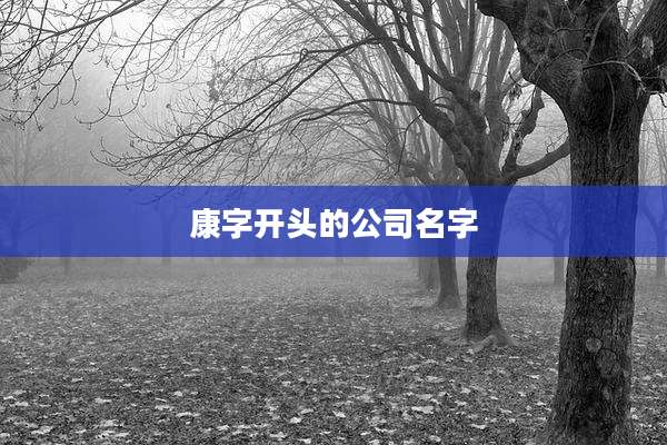 康字开头的公司名字