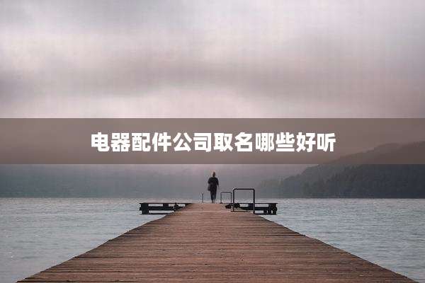 电器配件公司取名哪些好听