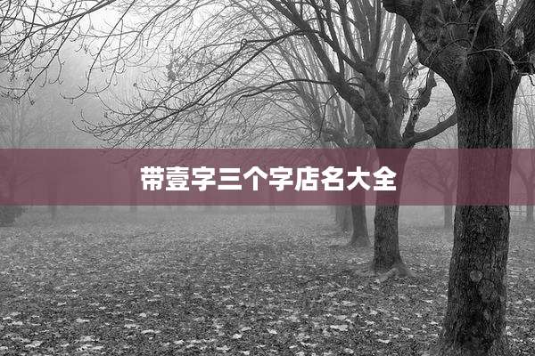 带壹字三个字店名大全