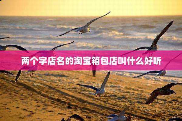 两个字店名的淘宝箱包店叫什么好听